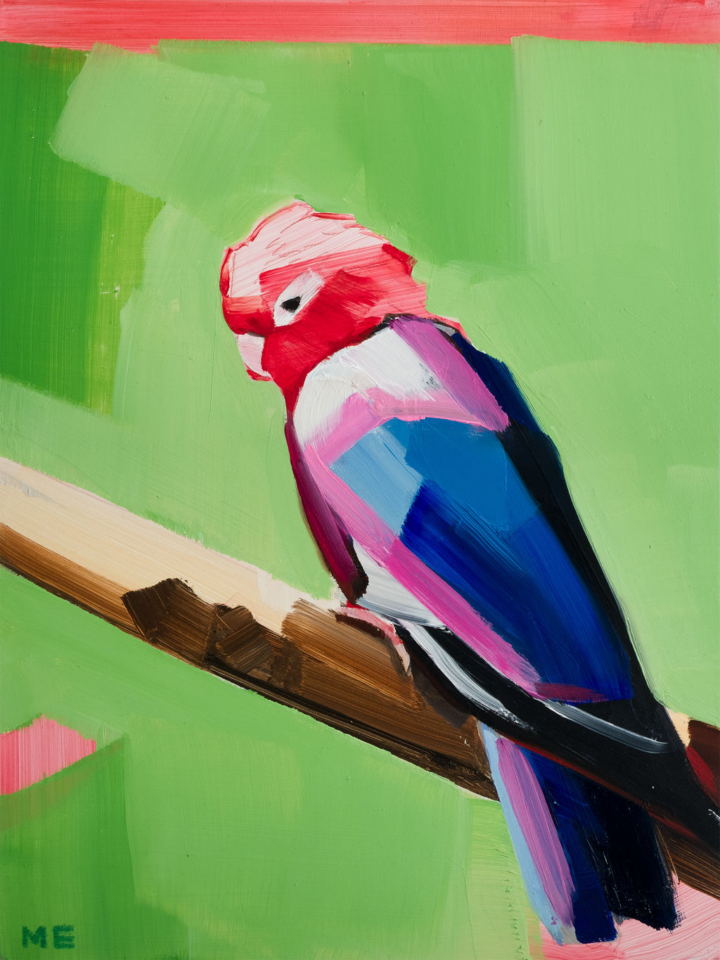 Galah / Oil on Wood