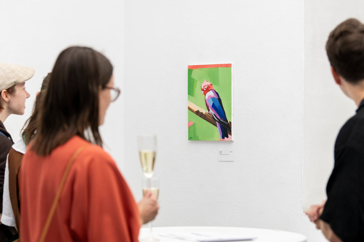 Galah / Oil on Wood